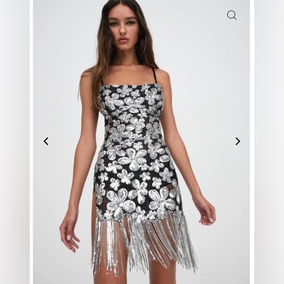 For Love And Lemons Dresses & Skirts - Colette Mini Silver Sequins Fringe Dress